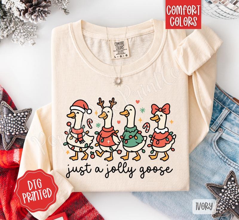 Jolly Goose Comfort Colors Long Sleeve T-Shirt, Cute Women's Christmas Tee Hoodie, Sweatshirt | WearSparks.com