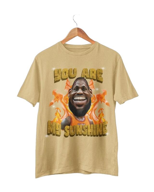 L James sunshine viral T-shirt Sweatshirt Hoodie | WearSparks.com