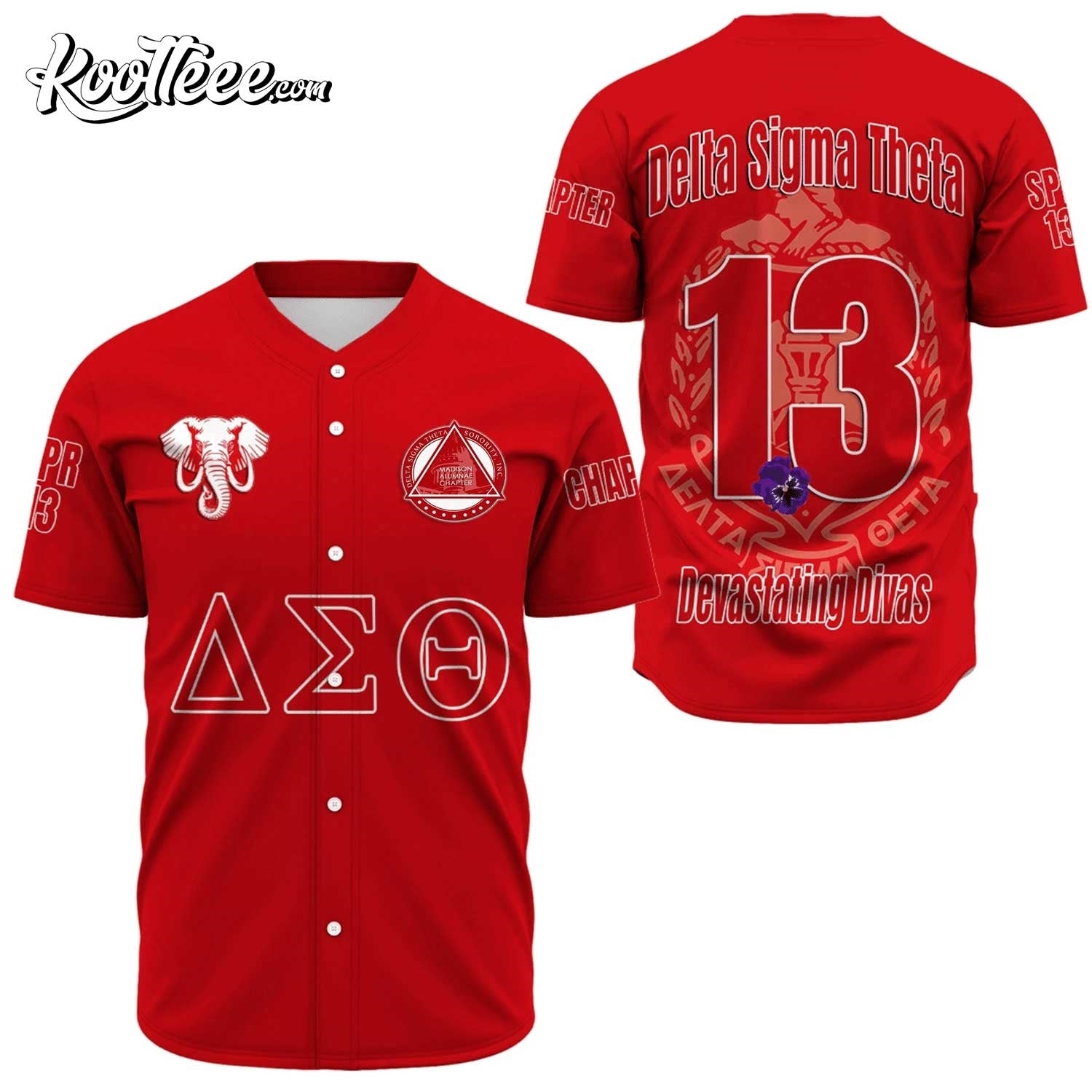 Madison Alumnae Chapter Delta Sigma Theta Baseball Jersey