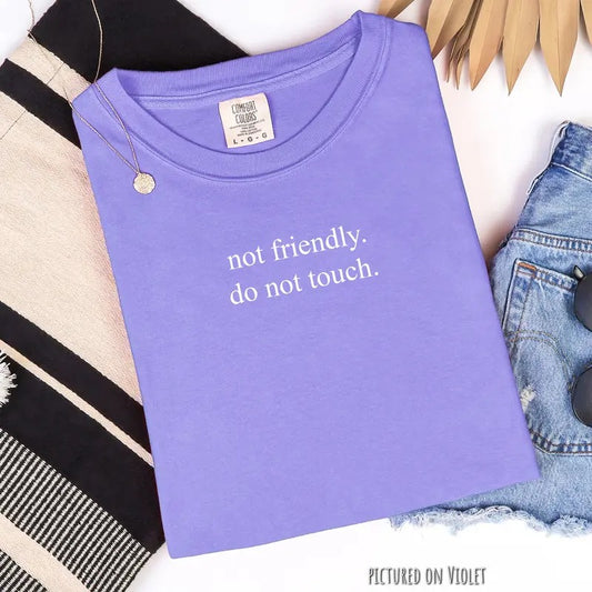 Minimalist Not Friendly Do Not Touch T-Shirt, Comfort Colors Shirt, Funny Oversized Unisex Fit Shirts, Vintage...