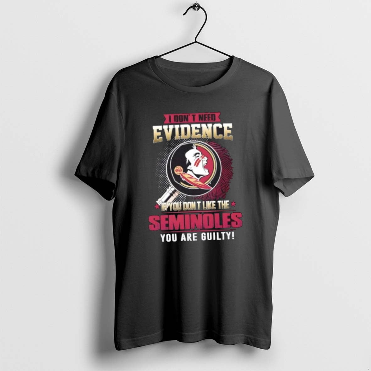 Official I Dont Need Evidence If You Dont Like The Florida State Seminoles You Are T-Shirts, Hoodie, Sweatshirt