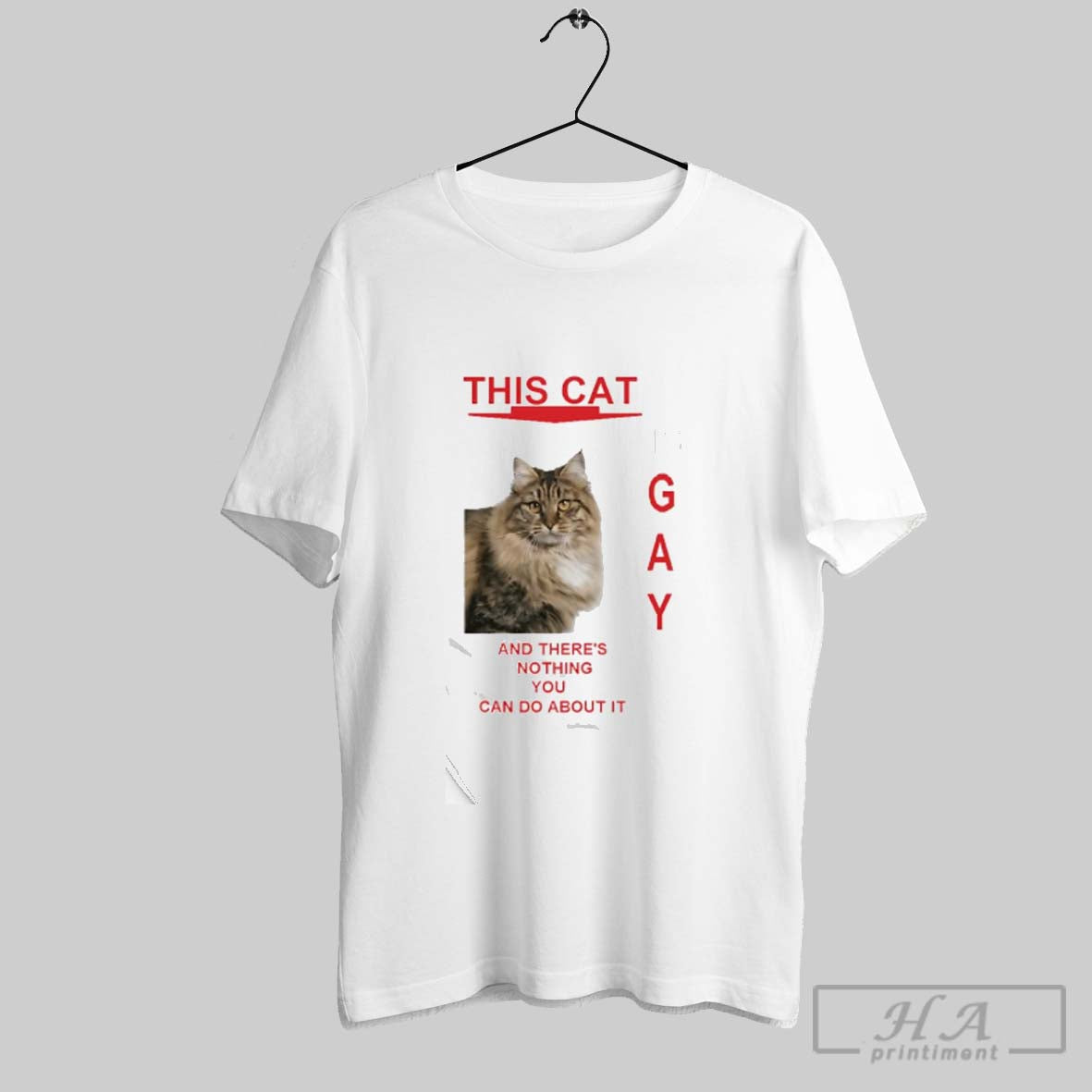 Official This Cat Is Gay And Theres Nothing You Can Do About It