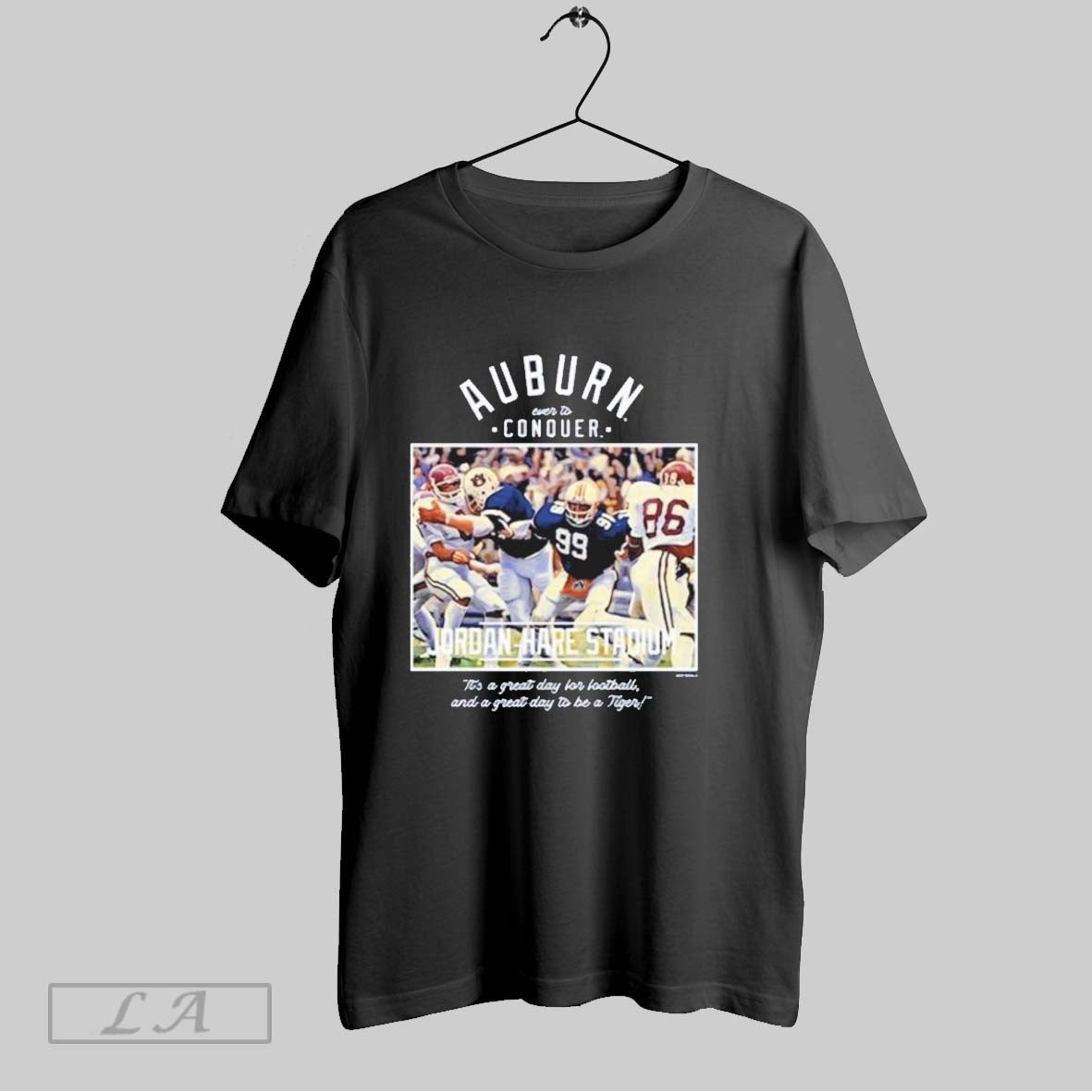 Original Auburn Tigers Football Conquer Jordhare Stadium
