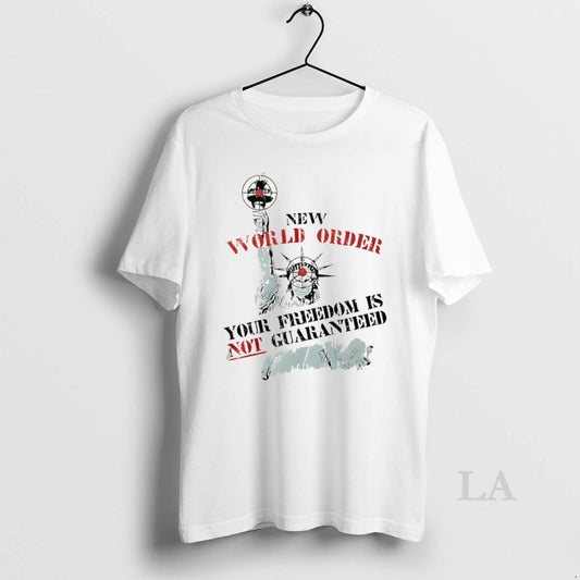 Original Statue Of Liberty New World Order Your Freedom Is Not Guaranteed