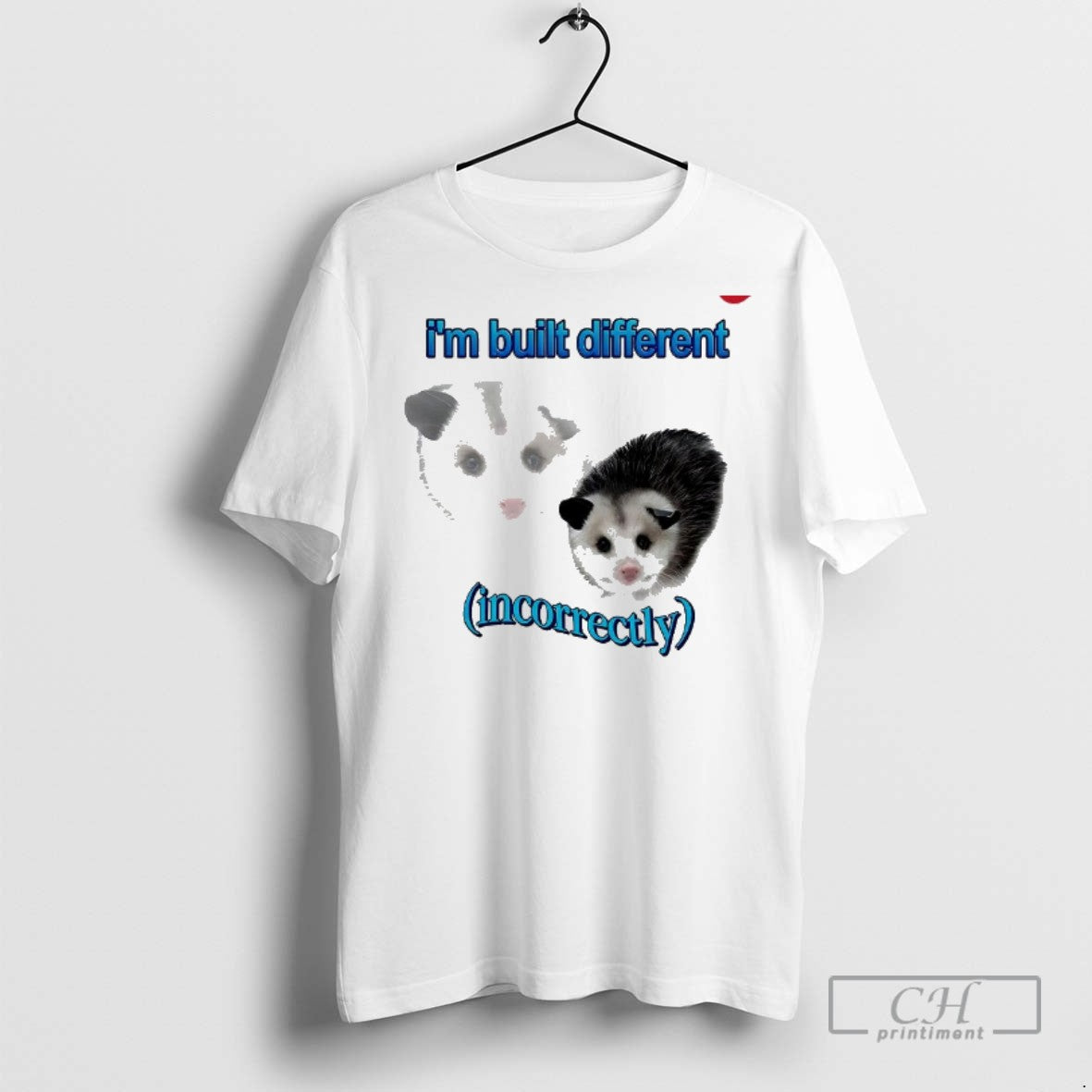 Possum Im Built Different Incorrectly T Shirts