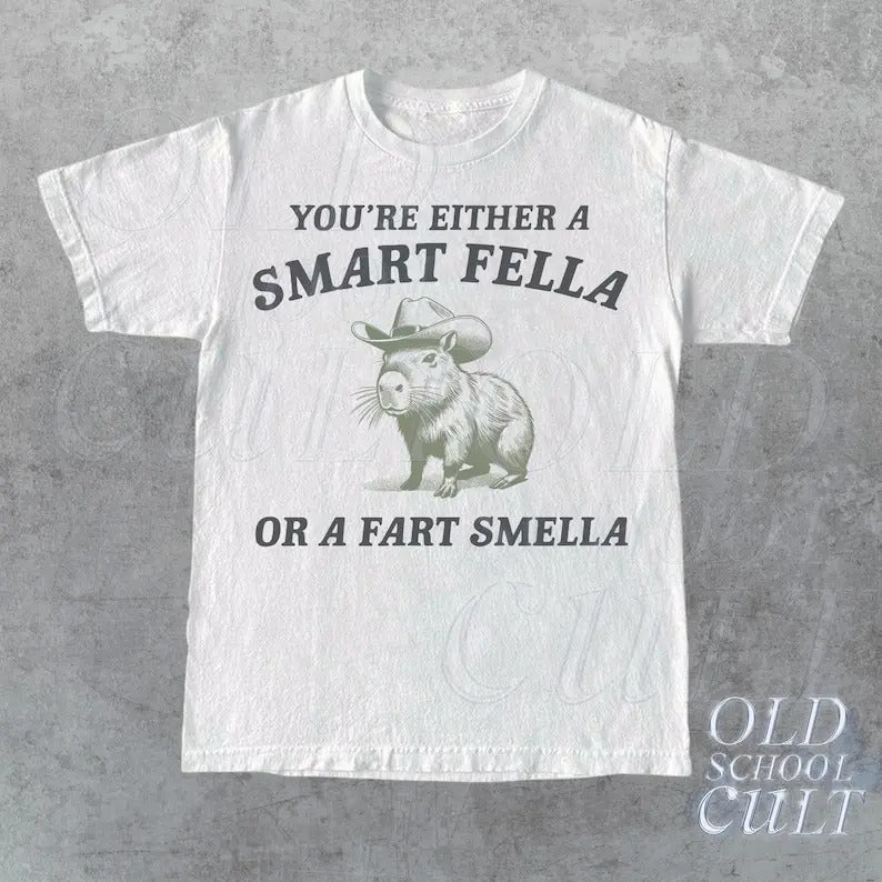 Premium  Are You A Smart Fella Or Fart Smella Vintage Style Shirt, Retro Cartoon T Shirt, Weird T Shirt, Meme T Shirt...