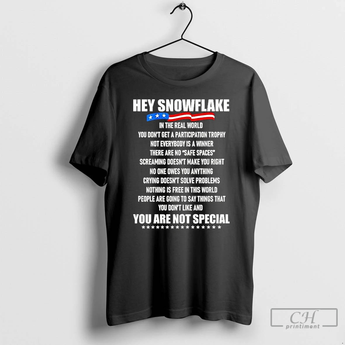 Premium Veteran Hey Snowflake You Are Not Special T-Shirts, Hoodie, Sweatshirt | WearSparks.com