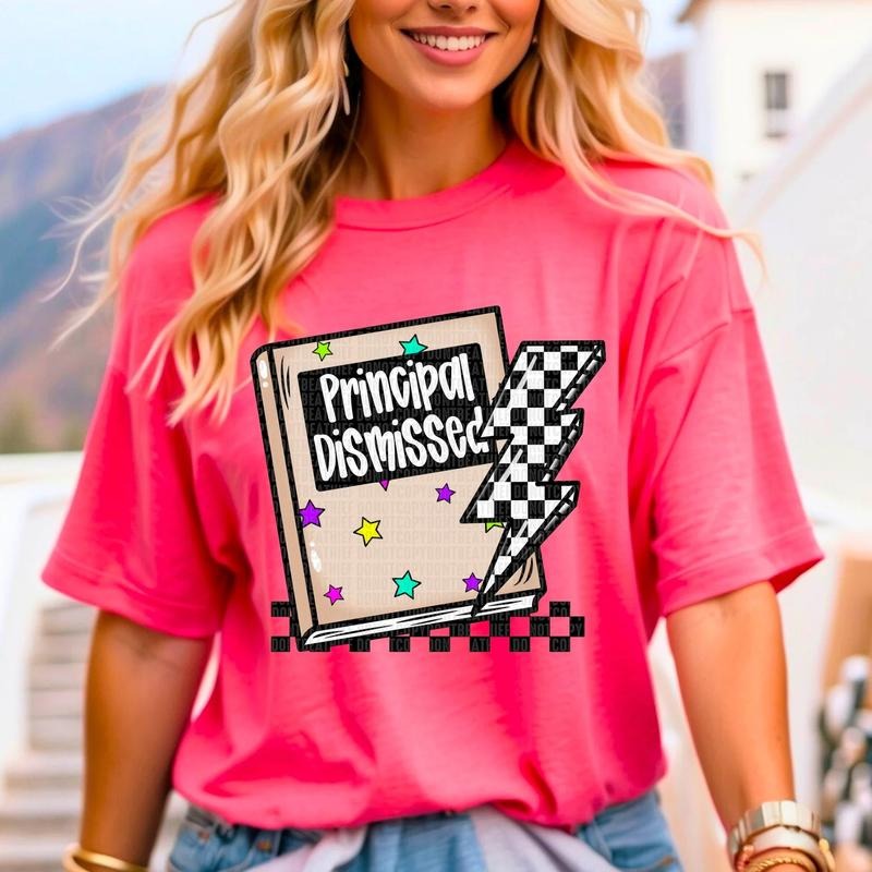 Principal Book DTF Transfers - THIS IS NOT A SHIRT Hoodie, Sweatshirt | WearSparks.com