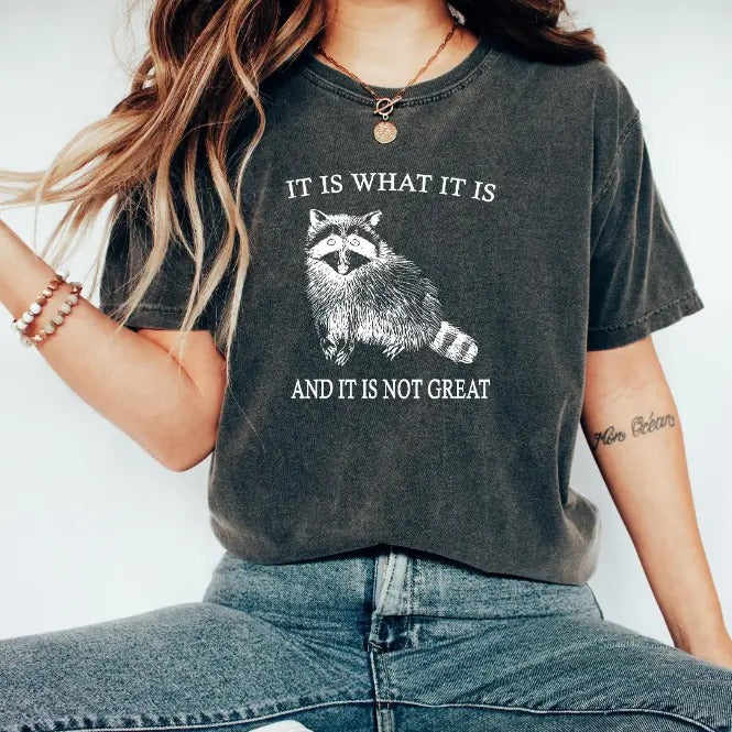 Raccoon Meme Shirt,It Is What It Is And It Is Not Great Shirt,Funny Mood Sweatshirt,Vintage Drawing Shirt,Trendy...