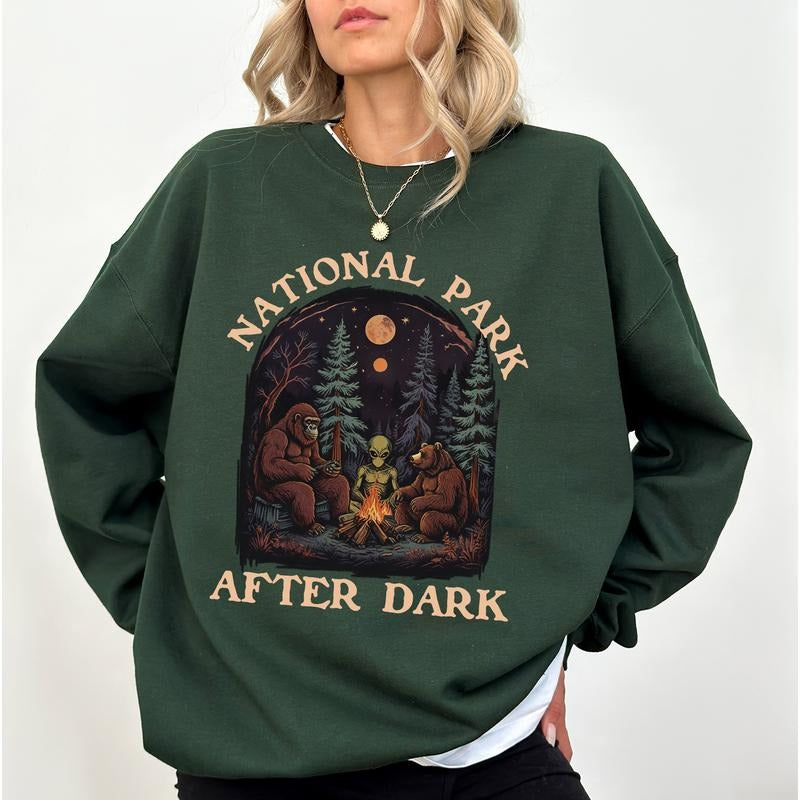 Retro Mountain Western Sweatshirt, National Park After Dark Crewneck, Camping Long Sleeved Pullover, Traveler Gift Ideas...
