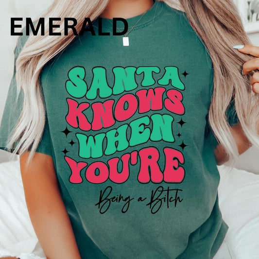 Santa KNows When You're Being a B Shirt~ Unisex Apparel Relaxed Fit Printed In The USA Clothing Womenswear Casual Comfort...