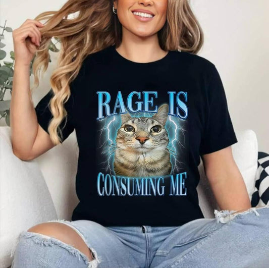 Silly Cat Rage Is Consuming Me Silly Staring Cat Meme T-Shirt | Unisex Cotton Tee, Short Sleeve, Size S-3XL Hoodie,...