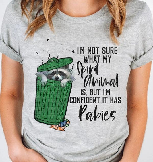 Spirit Animal Has Rabies Raccoon DTF Transfers - THIS IS NOT A SHIRT Hoodie, Sweatshirt | WearSparks.com