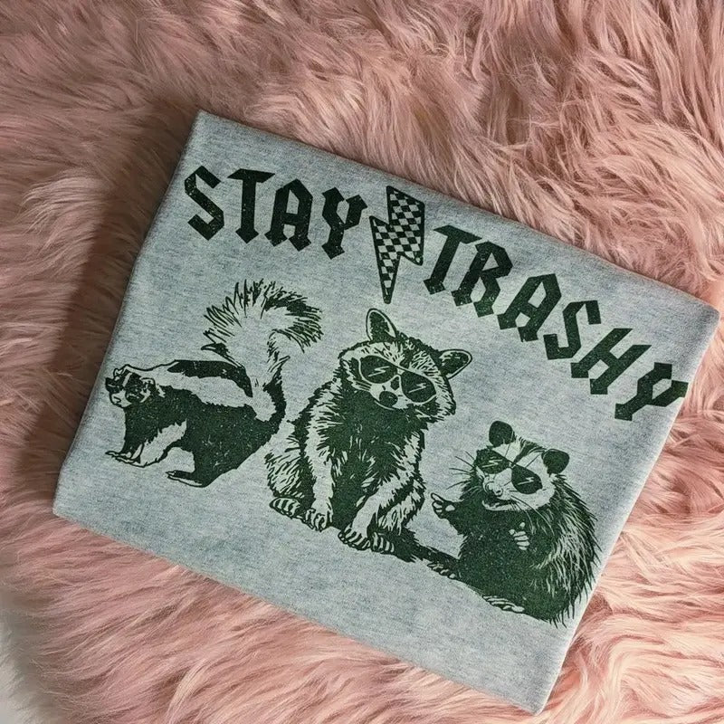 Stay Trashy Raccoon Graphic Tee Loose fit Hoodie, Sweatshirt | WearSparks.com