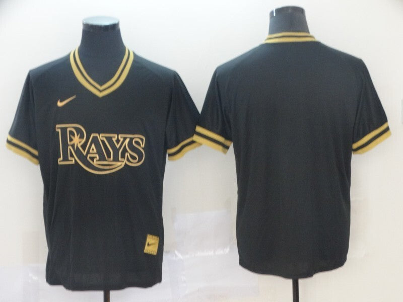 Tampa Bay Rays#blank
