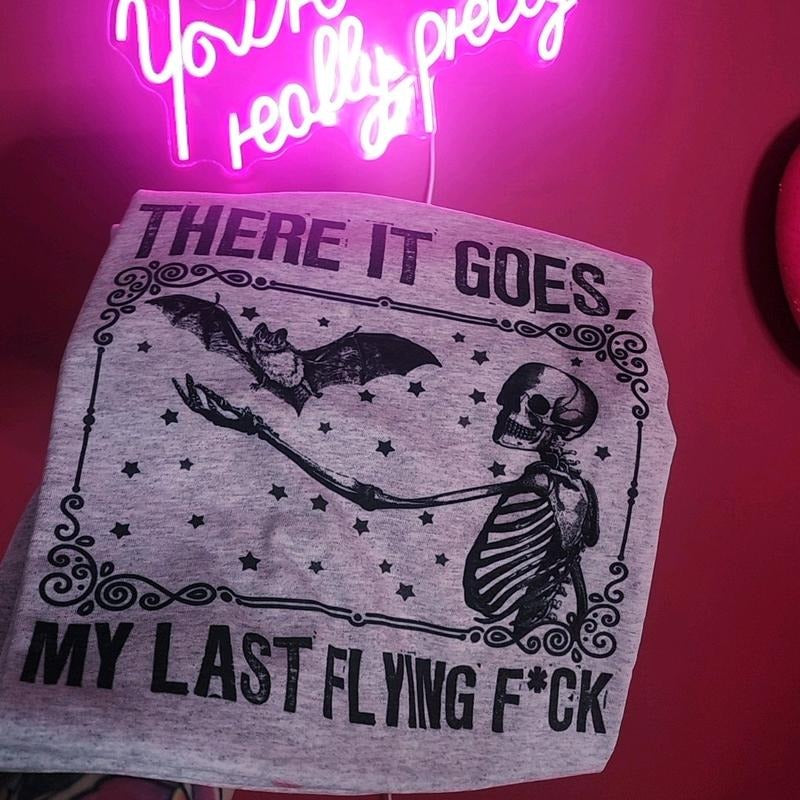 There is goes my last flying f Graphic Tee Hoodie, Sweatshirt | WearSparks.com