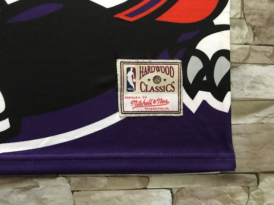 Toronto Raptors Raptors mitchell&ness Purple Style 1
