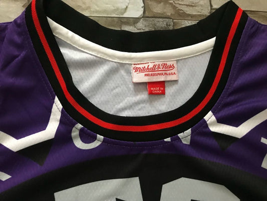 Toronto Raptors Raptors mitchell&ness Purple Style 2