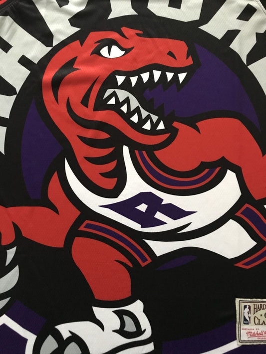 Toronto Raptors Raptors mitchell&ness Purple Style 3