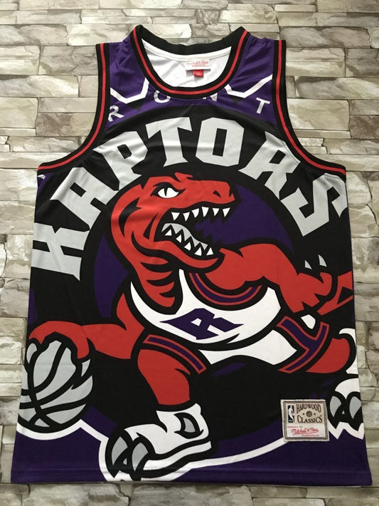 Toronto Raptors Raptors mitchell&ness Purple Style 4