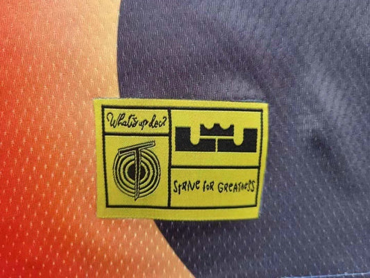 Tune Squad #6 James James Tune Squad 2 6# Blue Embroidered Style 5
