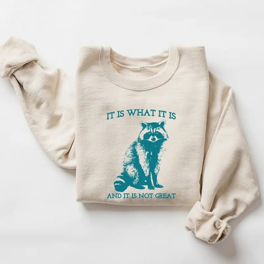 UnisexIt Is What It Is And It Is Not Great shirt, Vintage  Raccoon Shirt Hoodie, Sweatshirt | WearSparks.com