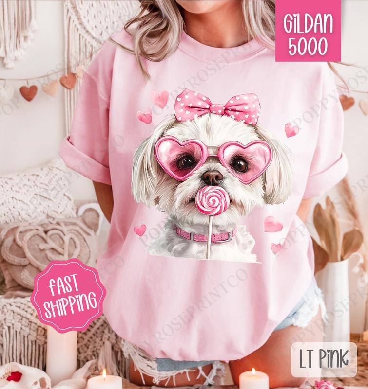 Valentine Maltese Shirt Gildan, Valentine's Day Women's Tee, Cute Women's Tshirt Plus Sizes Hoodie, Sweatshirt