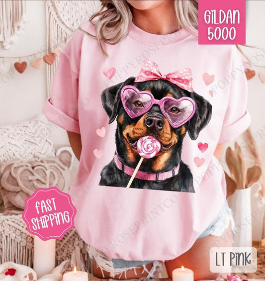 Valentine Rottweiler Shirt Gildan, Valentine's Day Women's Tee, Cute Women's Tshirt Plus Sizes Hoodie, Sweatshirt