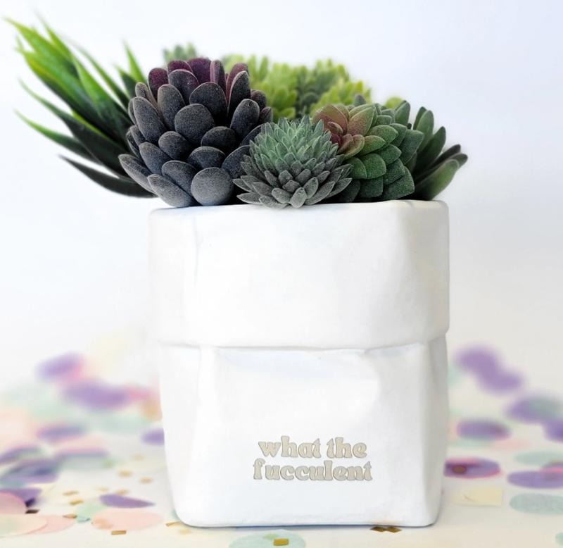 What The Fucculent Planter Pot T-Shirts, Hoodie, Sweatshirt | WearSparks.com