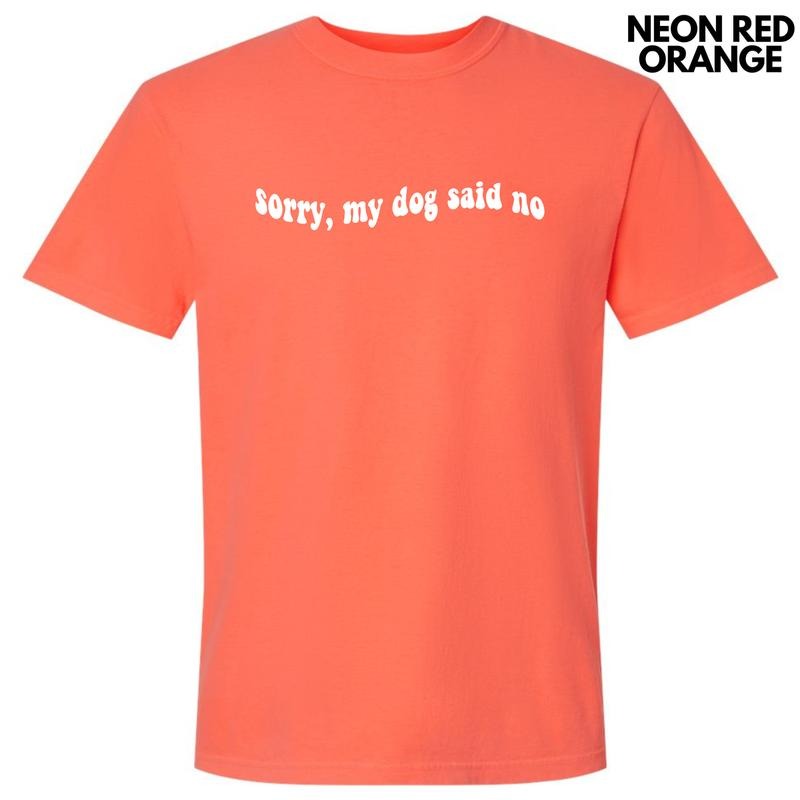 White My Dog Said No Comfort Colors T-Shirt 'NLB' Hoodie, Sweatshirt | WearSparks.com