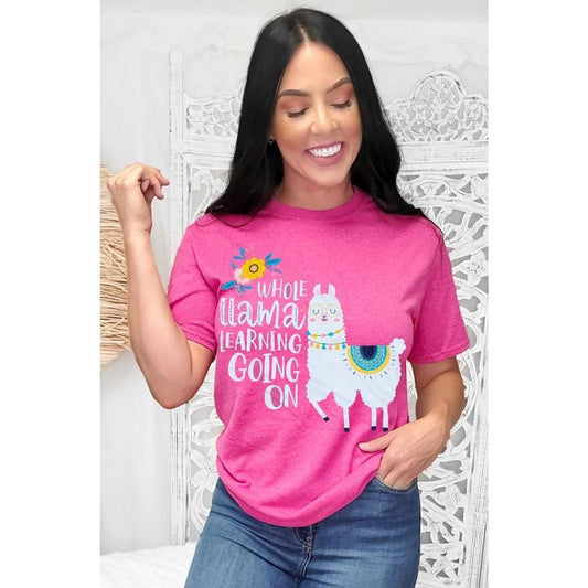 Whole Llama Learning Teacher T-Shirt Hoodie, Sweatshirt | WearSparks.com