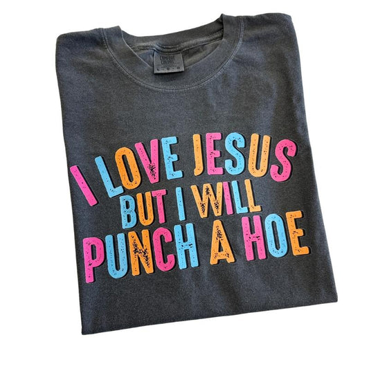 Will Punch A H** Comfort Colors T-Shirt Hoodie, Sweatshirt | WearSparks.com