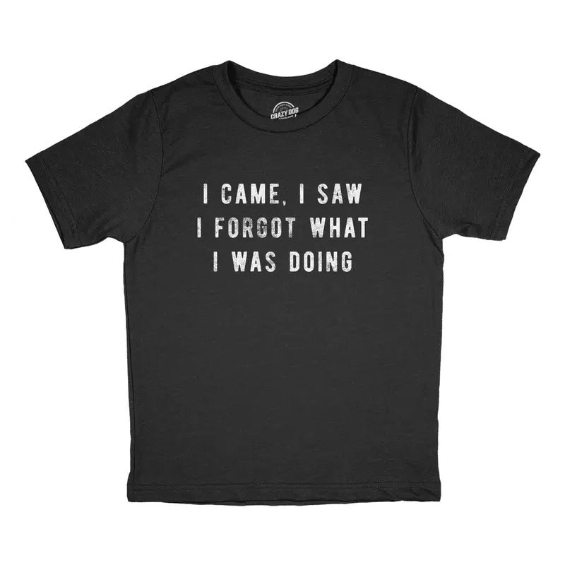 Youth I Came I Saw I Forgot What I Was Doing T Shirt Funny Short Term Memory Joke Tee For Kids Funny T Shirts Funny...