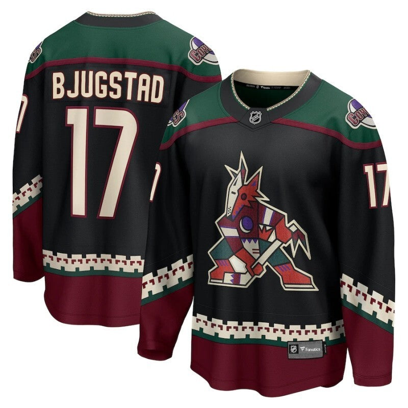 arizona coyotes #17 nick bjugstad home