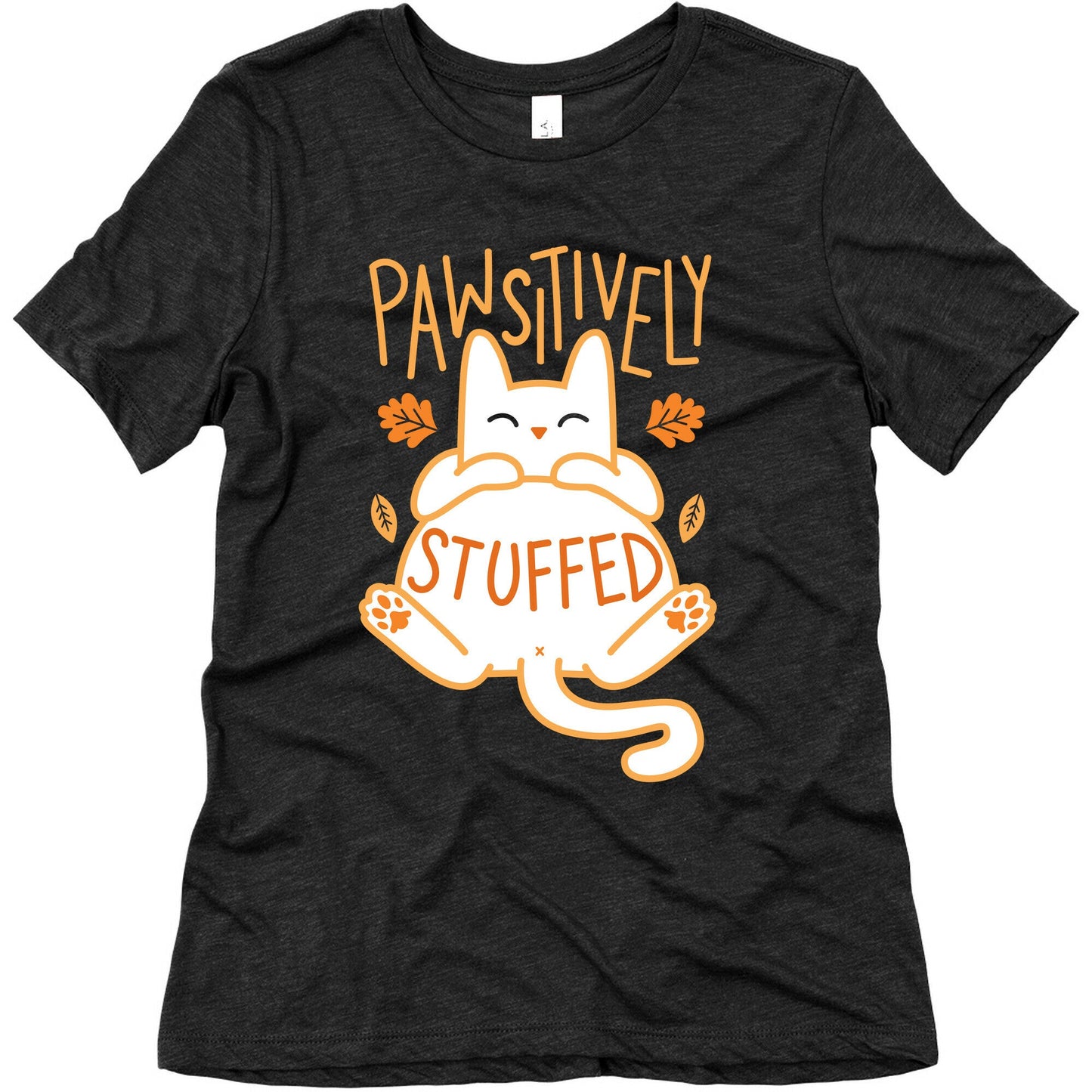 Pawsitively Stuffed Women's Triblend Tee