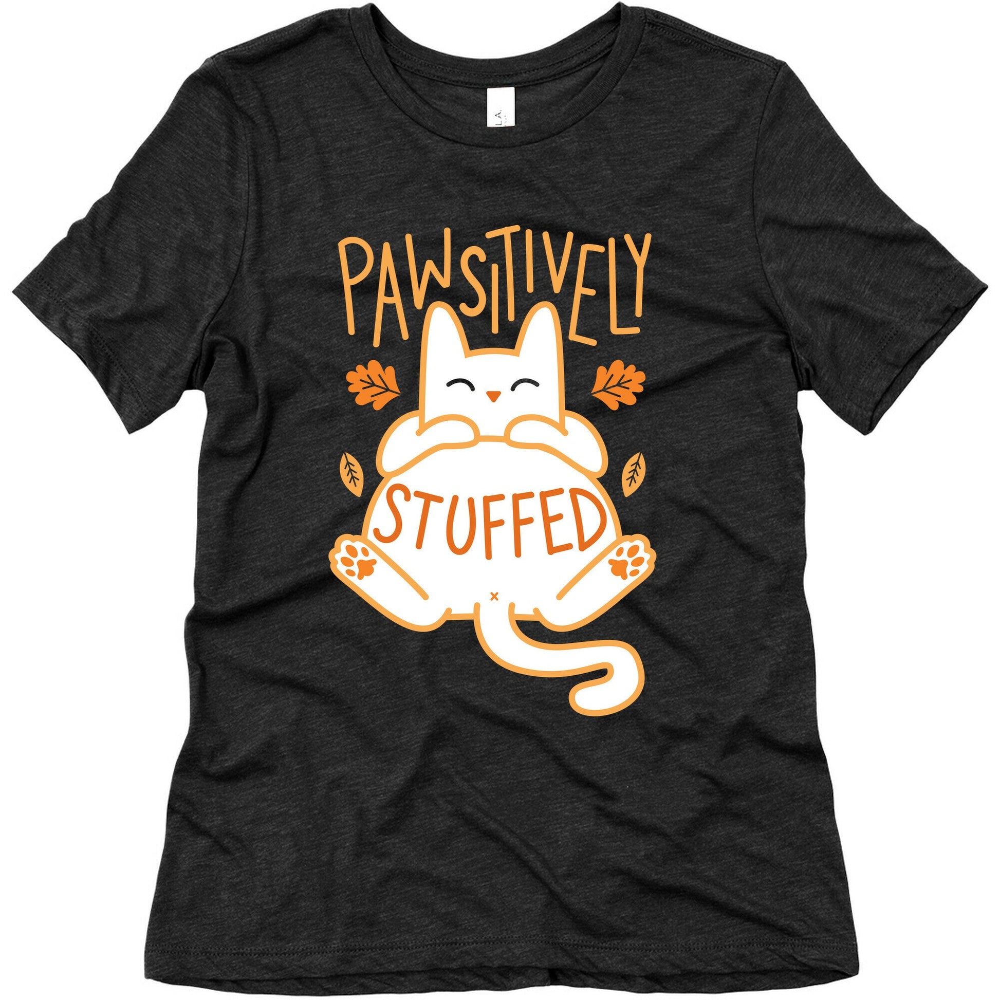 Pawsitively Stuffed Women's Triblend Tee