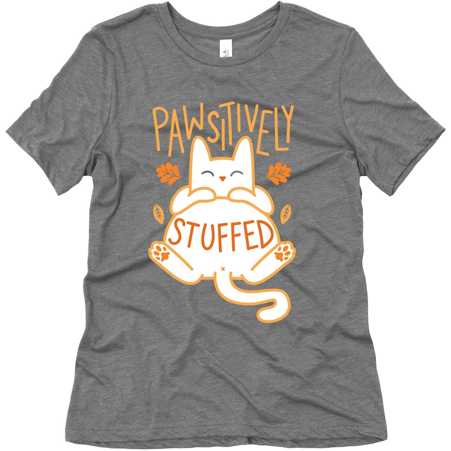 Pawsitively Stuffed Women's Triblend Tee