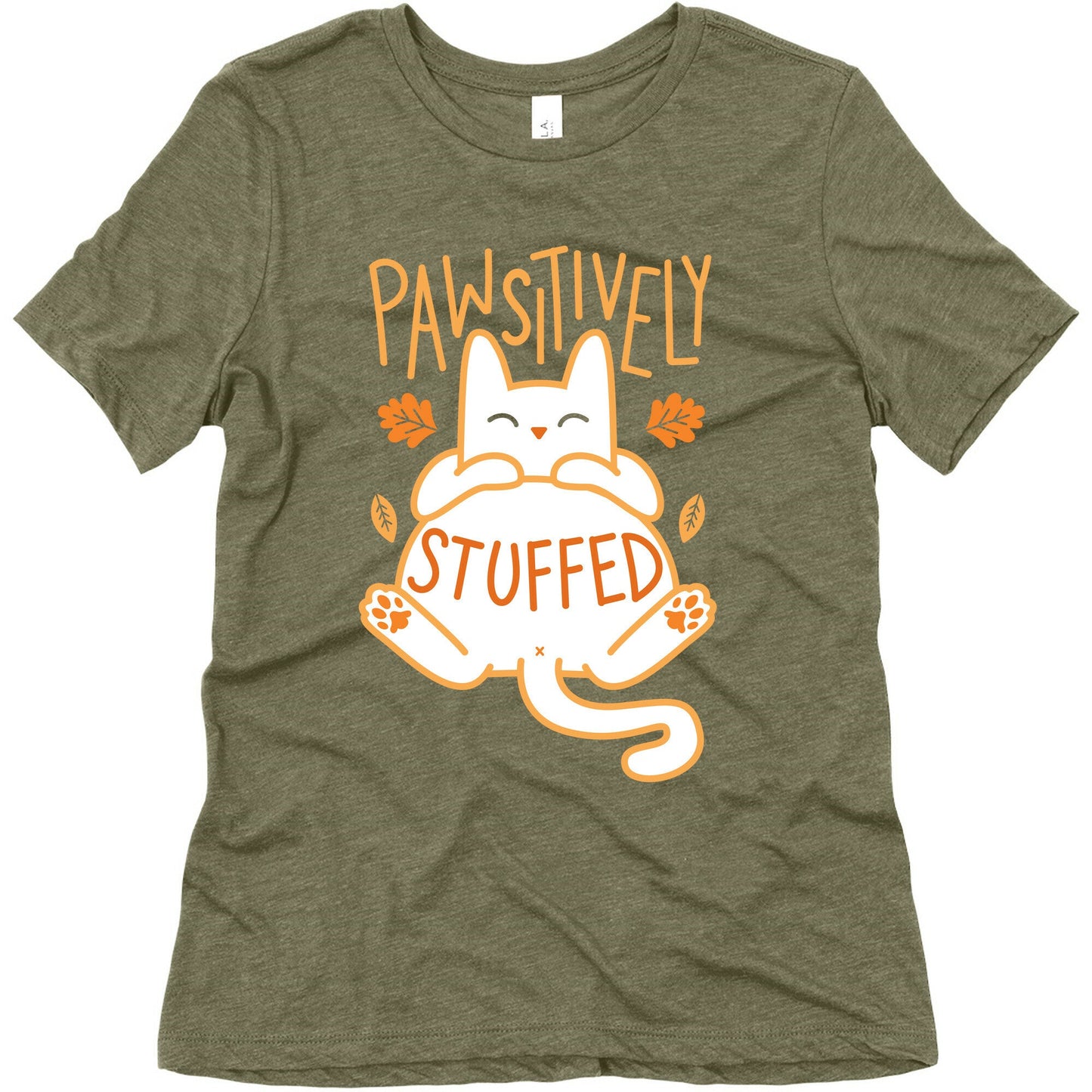 Pawsitively Stuffed Women's Triblend Tee