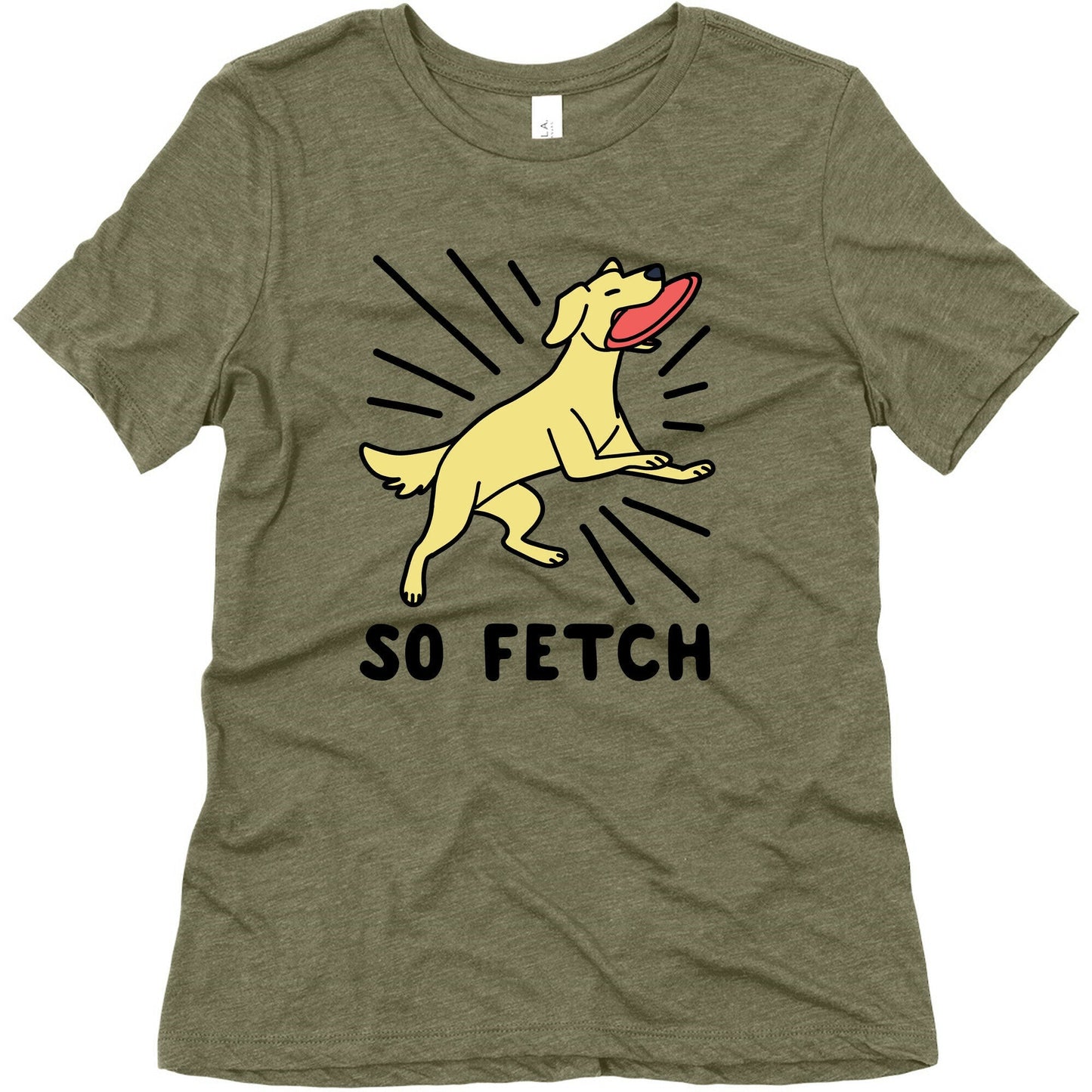 So Fetch - Dog Womens Triblend Tee