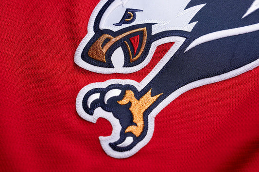 washington-capitals-new-third-jersey-screaming-eagle-sportslogosnet-4